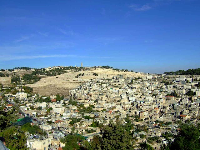 DSCF1447.JPG