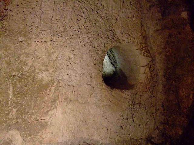 DSCF1466.JPG
