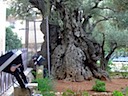DSCF1493.JPG