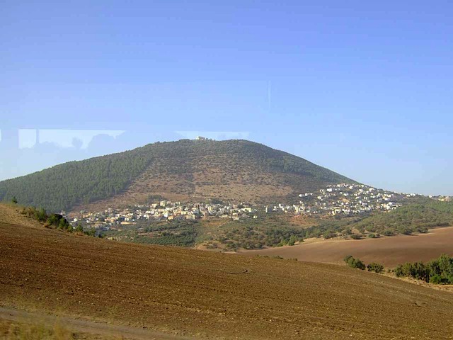 DSCF1682.JPG