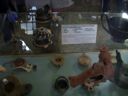 DSCN0073.JPG