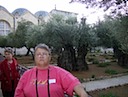 HPIM0792.JPG