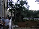 HPIM0798.JPG