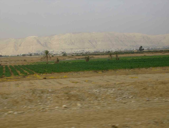 HPIM0900.JPG