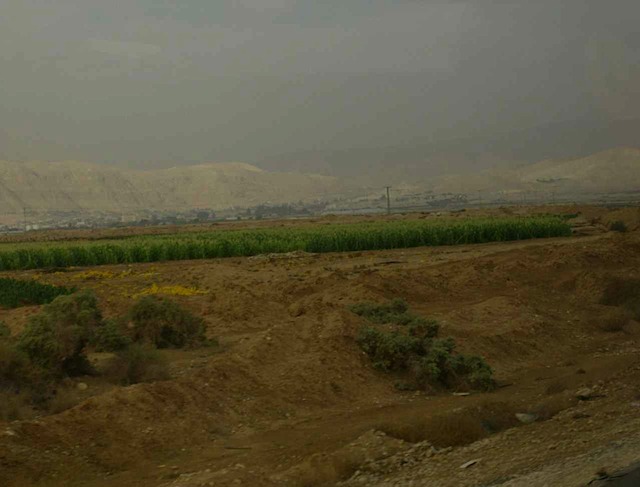 HPIM0901.JPG