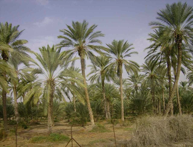 HPIM0919.JPG