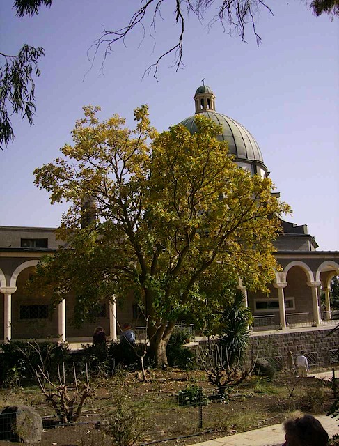 HPIM0932.JPG