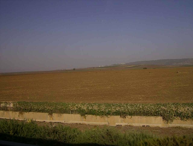 HPIM1031.JPG