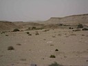 IMG_0507.JPG