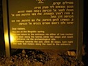 IMG_1043.JPG