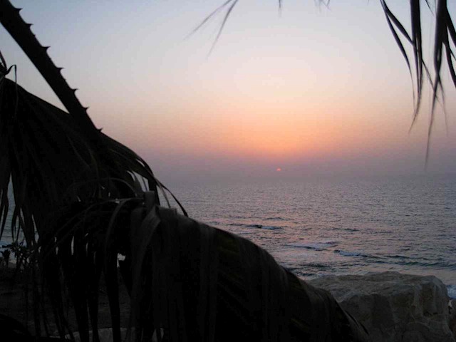 IMG_1113.JPG