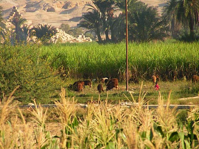 PICT0157.JPG